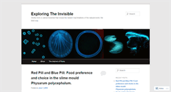 Desktop Screenshot of exploringtheinvisible.com