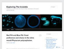 Tablet Screenshot of exploringtheinvisible.com